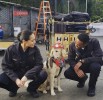 The Rookie Photos du tournage - Saison 2 